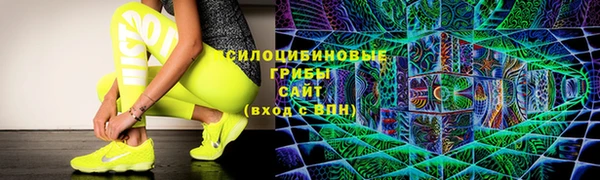индика Карталы
